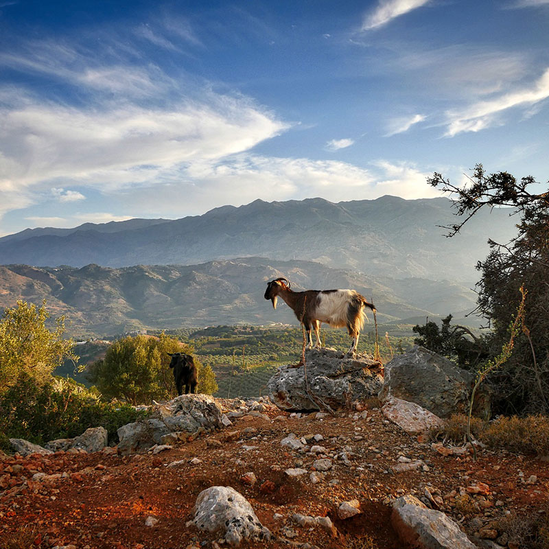 Enduro and 4x4- The best kept Cretan secret