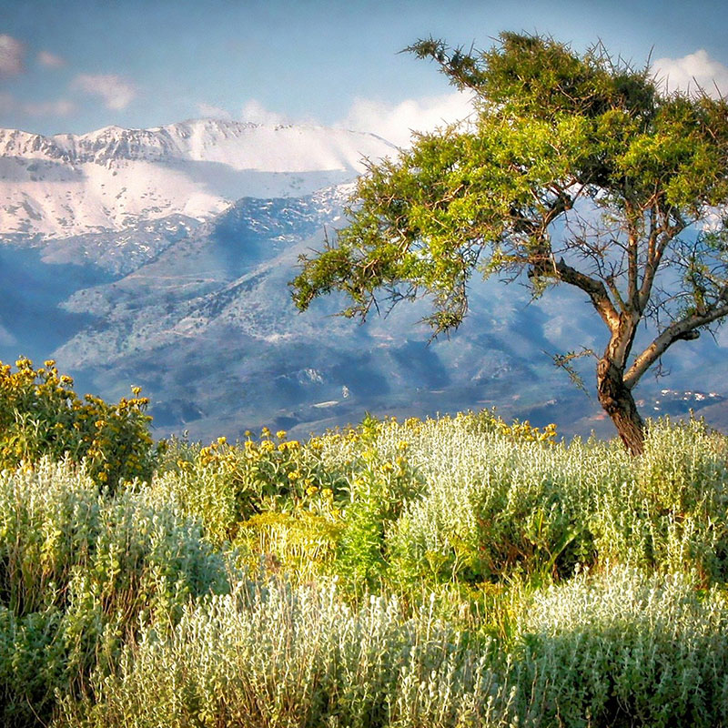 Live your winter in Crete!