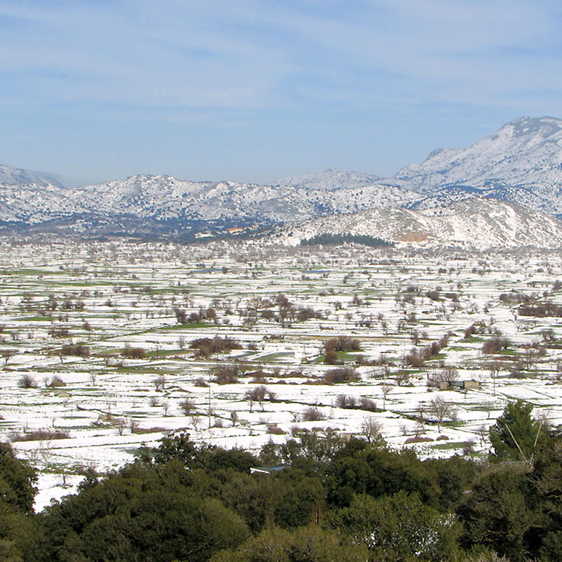 Winter holidays in Crete